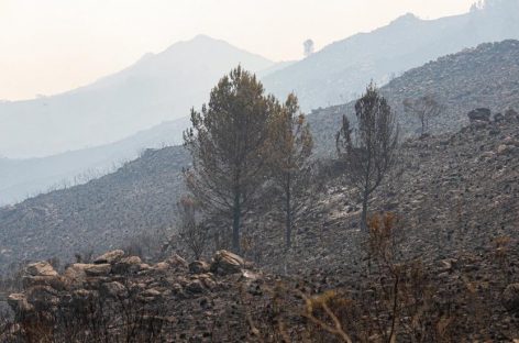 LLOVIÓ EN CÓRDOBA Y SE EXTINGUIERON TODOS LOS INCENDIOS FORESTALES
