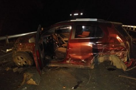 LOS ANIMALES SUELTOS CAUSARON OTRO GRAVE ACCIDENTE EN RUTA 38