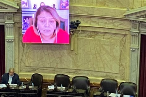 ABORTO LEGAL. EL COLEGIO MÉDICO REPUDIÓ DICHOS DE BEBA SORIA