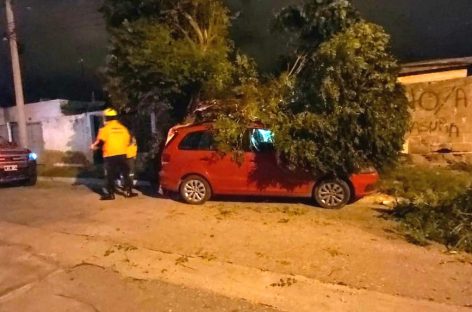 FUERTES VIENTOS DEJARON DAÑOS EN GRAN PARTE DE LA CAPITAL