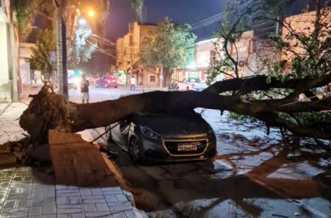 EL FUERTE VIENTO HIZO ESTRAGOS EN LA CAPITAL