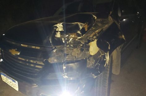 DIPUTADO RESULTÓ ILESO TRAS CHOCAR UNA VACA EN ACCIDENTE RUTERO