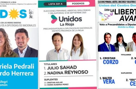 UNA POR UNA, LAS NUEVE LISTAS CON PRECANDIDATOS A DIPUTADO/A NACIONAL