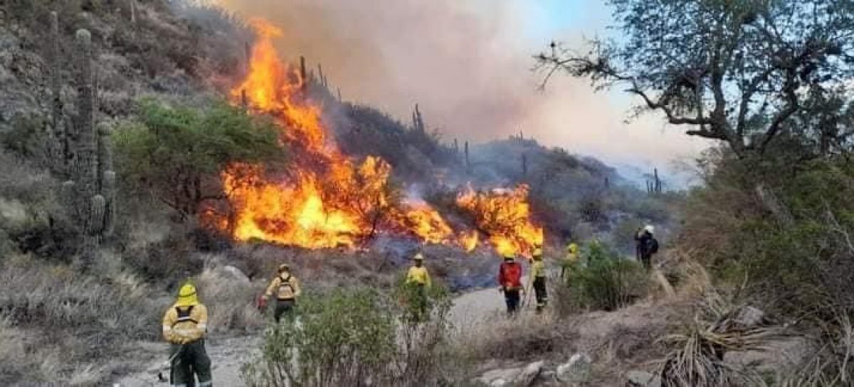 LA RIOJA Y CATAMARCA COMBATEN UN INCENDIO FORESTAL EN FORMA CONJUNTA