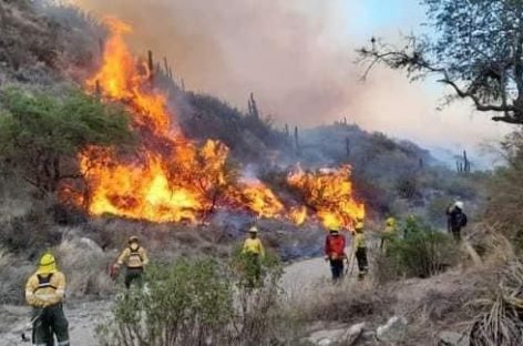 LA RIOJA Y CATAMARCA COMBATEN UN INCENDIO FORESTAL EN FORMA CONJUNTA