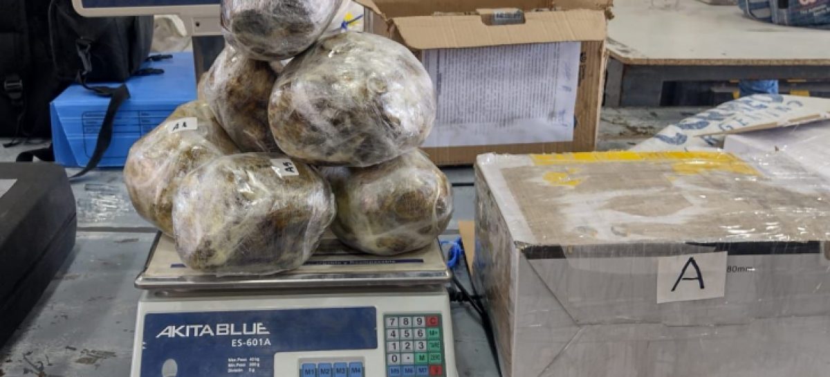 INCAUTAN 4 KILOS DE DROGA EN UNA ENCOMIENDA QUE LLEGÓ POR CORREO