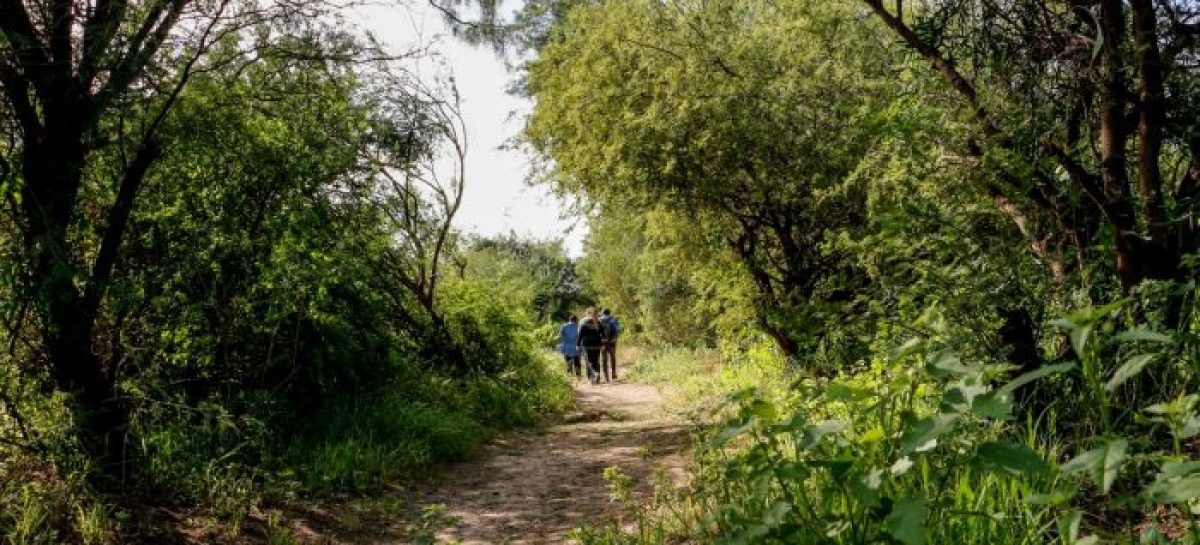 LA CAPITAL TENDRÁ SU PROPIA RESERVA NATURAL URBANA: ‘TAKÚ’