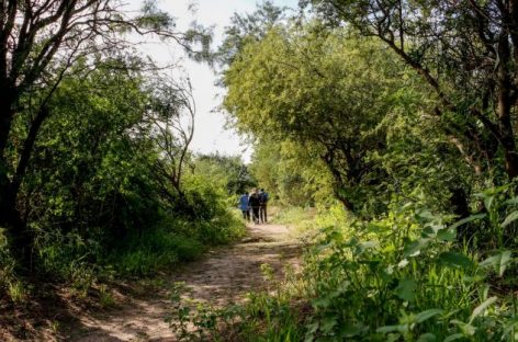 LA CAPITAL TENDRÁ SU PROPIA RESERVA NATURAL URBANA: ‘TAKÚ’