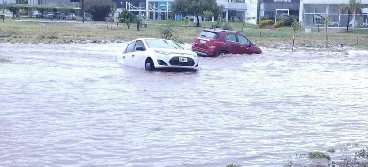 EL FUERTE TEMPORAL HIZO ESTRAGOS EN LA CAPITAL RIOJANA