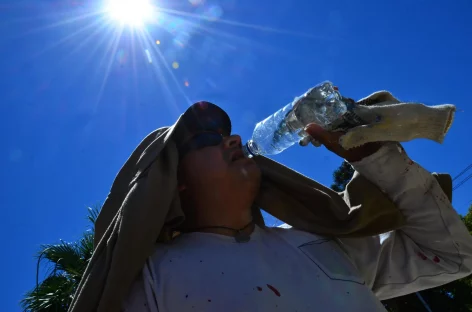 UNA OLA DE CALOR YA GOLPE A LA RIOJA Y AL PAIS