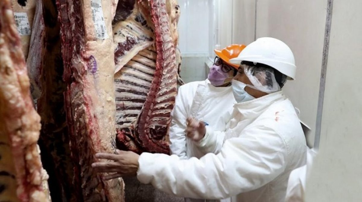 CAPITAL. REITERAN QUE ESTÁ PROHIBIDA LA VENTA DE CARNE EQUINA