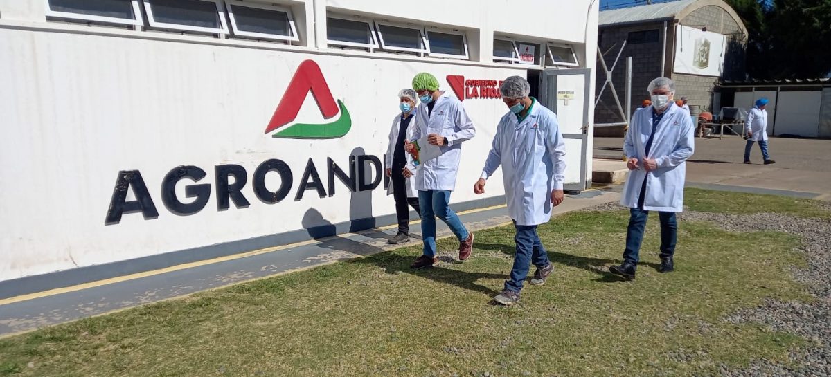 SAPEM ESTATALES. SON 36 Y GENERAN 2400 PUESTOS DE TRABAJO