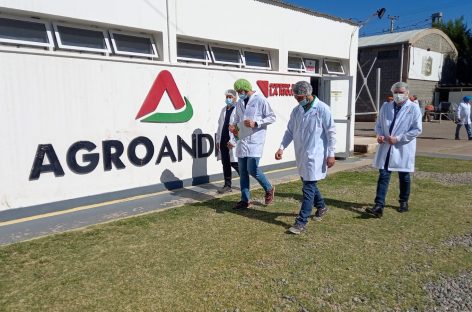 SAPEM ESTATALES. SON 36 Y GENERAN 2400 PUESTOS DE TRABAJO