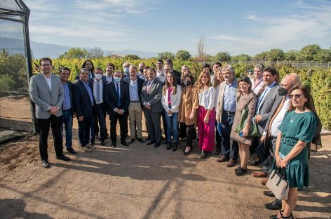 CON RESPALDO NACIONAL, LA RIOJA SE ENCAMINA A LIDERAR LA PRODUCCIÓN DE CANNABIS MEDICINAL A NIVEL PAÍS