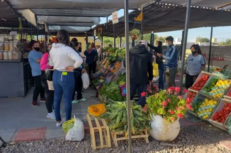 LA RIOJA TIENE MÁS TRABAJADORES DE LA ECONOMÍA POPULAR QUE PRIVADOS