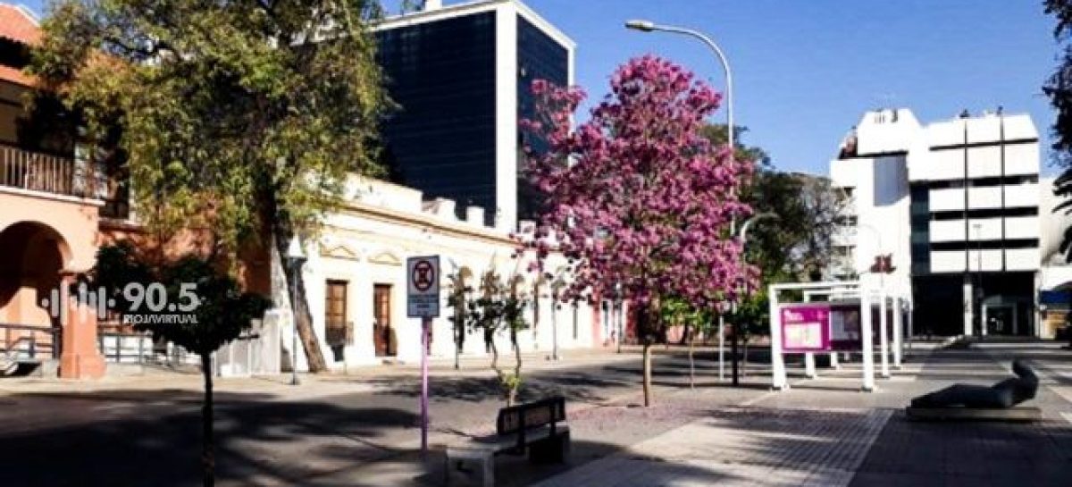 «LA RIOJA NECESITA MÁS CAMAS PARA CONTENER EL CRECIMIENTO DEL TURISMO»
