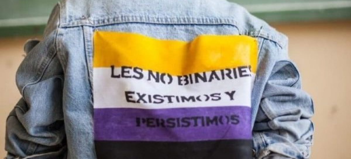 REGISTRO CIVIL. EN LA RIOJA UNA SOLA PERSONA SOLICITÓ EL DNI NO BINARIO