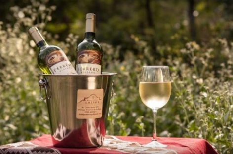 OTRA BODEGA RIOJANA SE PREPARA PARA EXPORTAR SUS VINOS