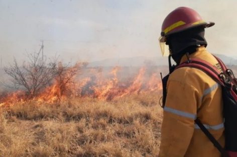 EL GOBIERNO YA BUSCA A LOS RESPONSABLES DE LOS INCENDIOS FORESTALES