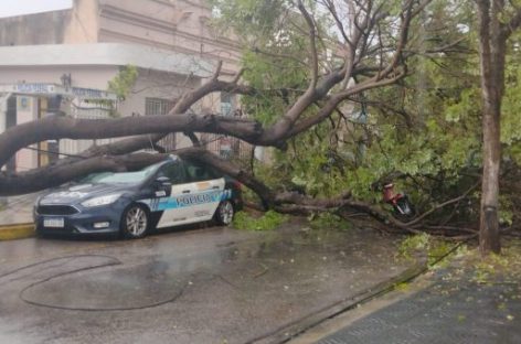 LLUVIAS. UN ARBOL CAYÓ SOBRE UN MÓVIL POLICIAL Y LESIONÓ A UNA MOTOCICLISTA