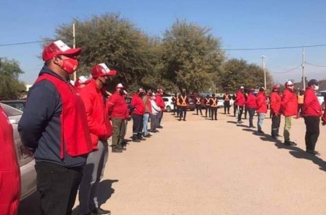 ‘CHALECOS ROJOS’ NUEVAMENTE PODRÁN SUMARSE A LA COSECHA DE OLIVO Y VID