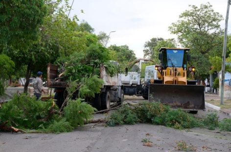 CHAMICAL, EL DEPARTAMENTO MÁS GOLPEADO POR EL TEMPORAL DEL LUNES