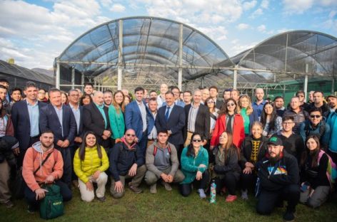 LA RIOJA SERÁ PIONERA EN OTORGAR LICENCIAS PRIVADAS DE VENTA DE CANNABIS MEDICINAL