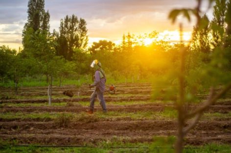 YA FUNCIONA EN LA RIOJA LA PRIMERA FINCA DE TURISMO CANNÁBICO DEL PAÍS
