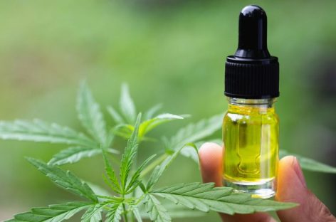 ACEITE DE CANNABIS. SALEN LAS PRIMERAS 3.000 DOSIS Y 2.000 DE ELLAS IRÁN A LAS FARMACIAS