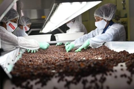 LA PROVINCIA EXPORTÓ 110.000 KILOS DE PASAS DE UVA