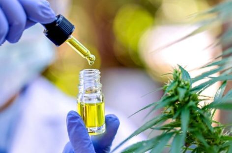 UNDEC. ABREN PREINSCRIPCIÓN PARA DIPLOMATURA EN PRODUCCIÓN E INDUSTRIALIZACIÓN DEL CANNABIS