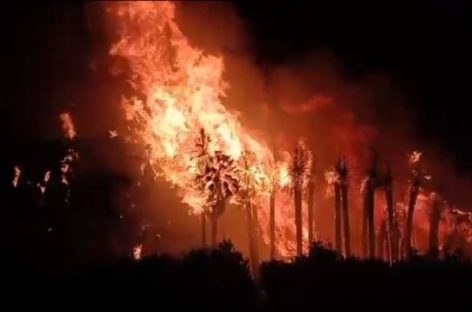 AIMOGASTA. FEROZ INCENDIO EN EL PARQUE LOS NACIMIENTOS
