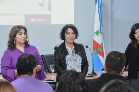 INTERRUPCIÓN VOLUNTARIA DEL EMBARAZO. LA FRANJA ETARIA DE 20 A 29 AÑOS, LA DE MAYOR DEMANDA EN LA RIOJA