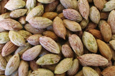 LA RIOJA SIGUE AMPLIANDO SU MATRIZ ENERGÉTICA: PRODUCIRÁ ENERGÍA LIMPIA CON CAROZOS DE ACEITUNA