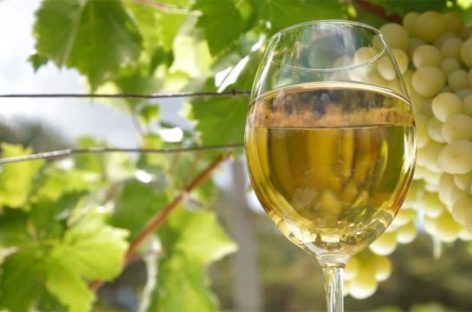 «NUESTRO OBJETIVO ES POSICIONAR A LA VITIVINICULTURA RIOJANA»