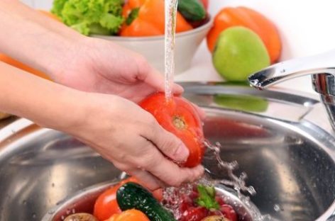 BROTE DE SALMONELLA EN EL NORTE: SÍNTOMAS Y CÓMO PREVENIR EL CONTAGIO
