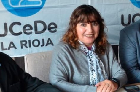 «VOY A CONTINUAR CON EL TRABAJO DE MARTÍN MENEM EN LA CÁMARA»