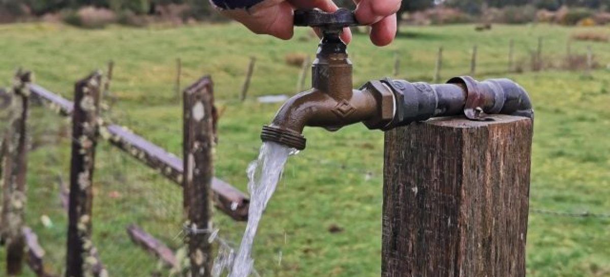 CRISIS HÍDRICA. SE VIENE EL CALOR Y VUELVEN A ADVERTIR SOBRE EL CUIDADO DEL AGUA