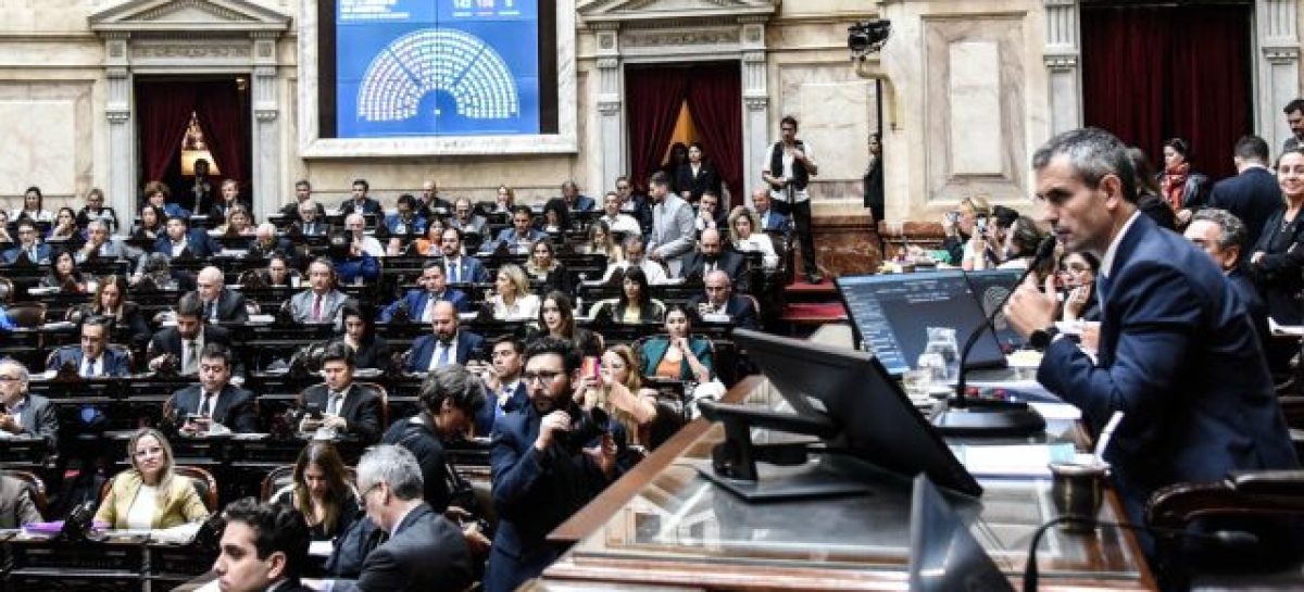 LEY DE BASES EN DIPUTADOS. APROBADA EN GENERAL Y SE DISCUTE EN PARTICULAR