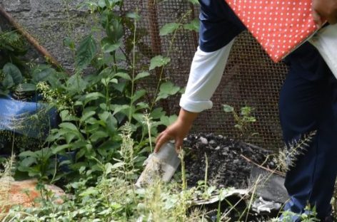 ALERTA DENGUE EN LA RIOJA: QUÉ HACER TRAS LAS LLUVIAS
