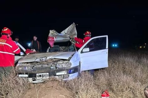 LOS CABALLOS SUELTOS CASI PROVOCAN OTRA TRAGEDIA EN LA CAPITAL