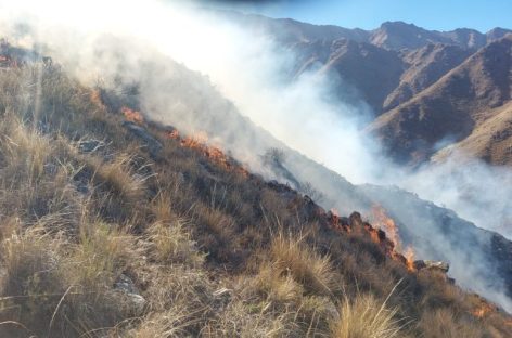 SIGUEN TRABAJOS PARA SOFOCAR INCENDIO FORESTAL EN CERRO FAMATINA