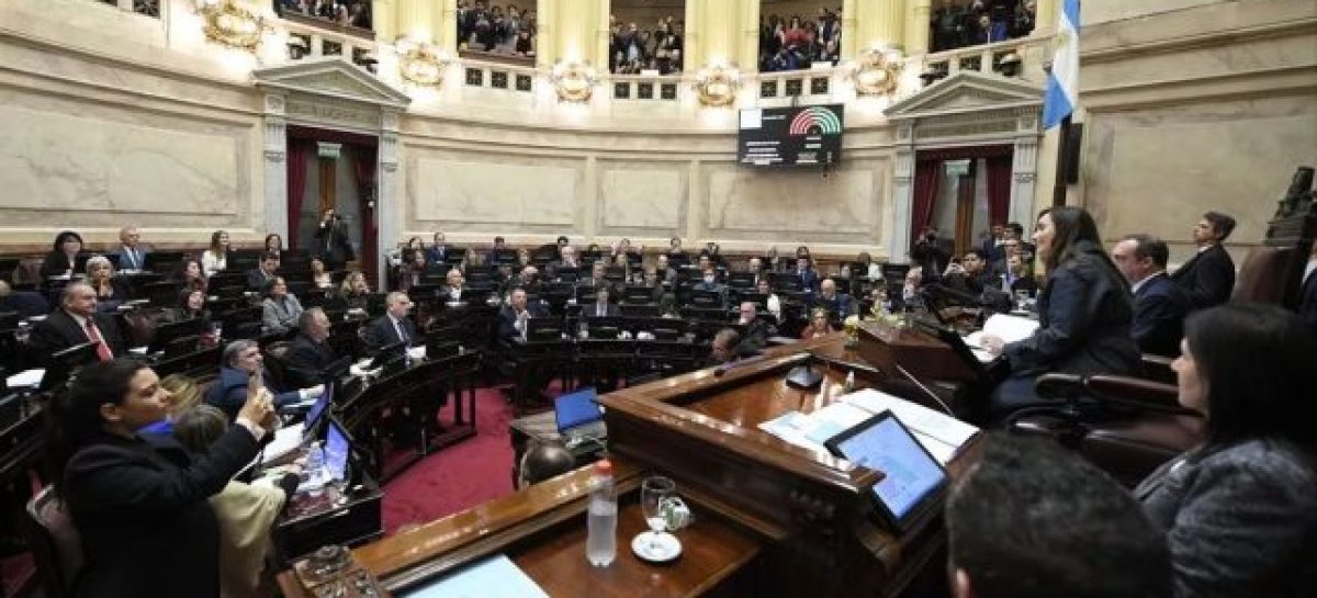 EL GOBIERNO CEDIÓ EN ARTÍCULOS CLAVE Y EL SENADO APROBÓ LA LEY BASES, QUE AHORA VUELVE A DIPUTADOS