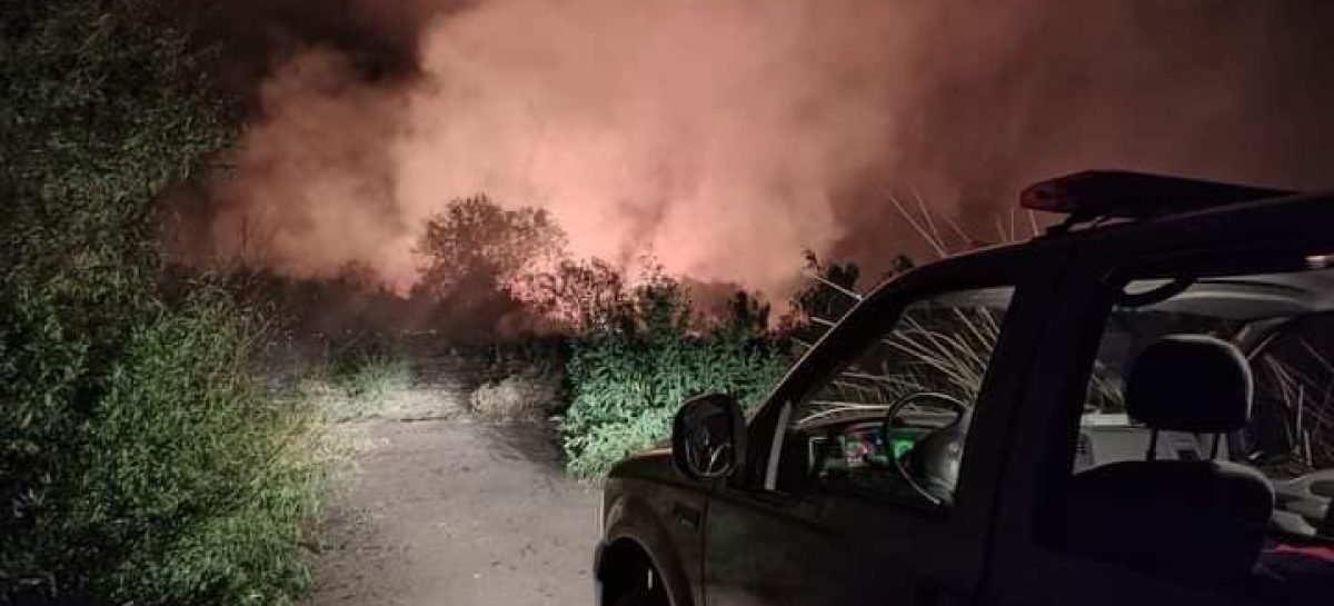 SE CONTROLÓ EL INCENDIÓ QUE AFECTÓ UN SECTOR DEL DIQUE LOS SAUCES