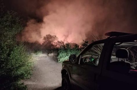 SE CONTROLÓ EL INCENDIÓ QUE AFECTÓ UN SECTOR DEL DIQUE LOS SAUCES