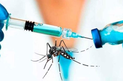 DENGUE. LAS DOS MODALIDADES QUE HAY PARA PODER VACUNARSE