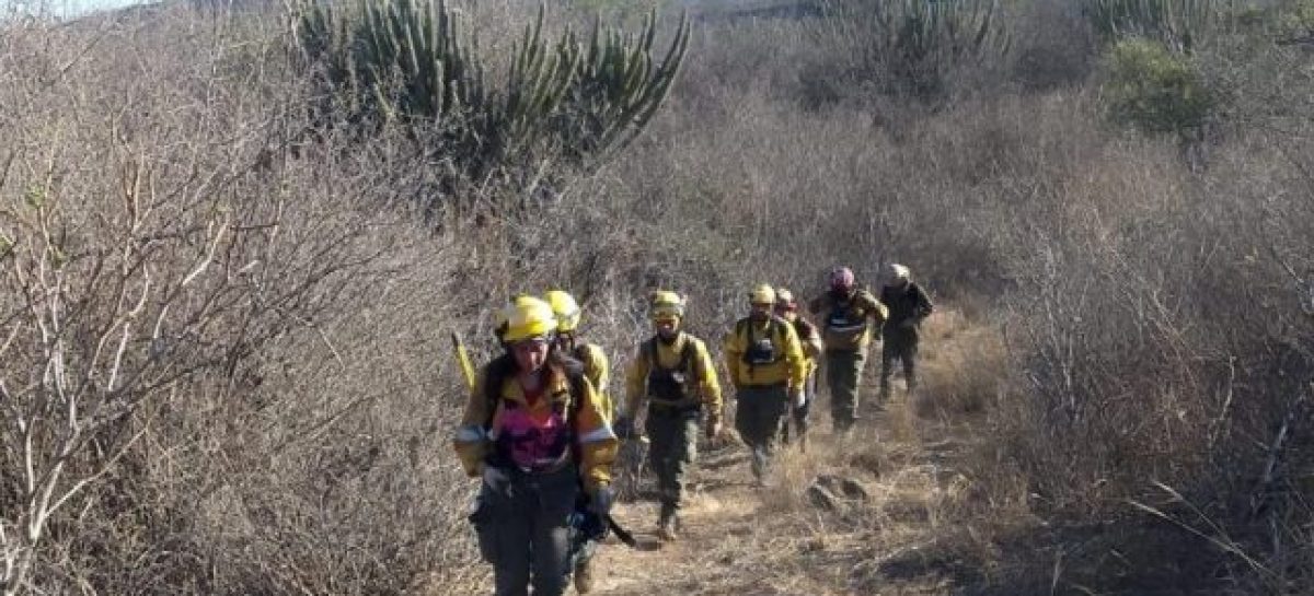 INCENDIOS FORESTALES. «PEDIMOS AL VECINO COLABORAR EN LA PREVENCIÓN»