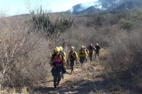 INCENDIOS FORESTALES. «PEDIMOS AL VECINO COLABORAR EN LA PREVENCIÓN»