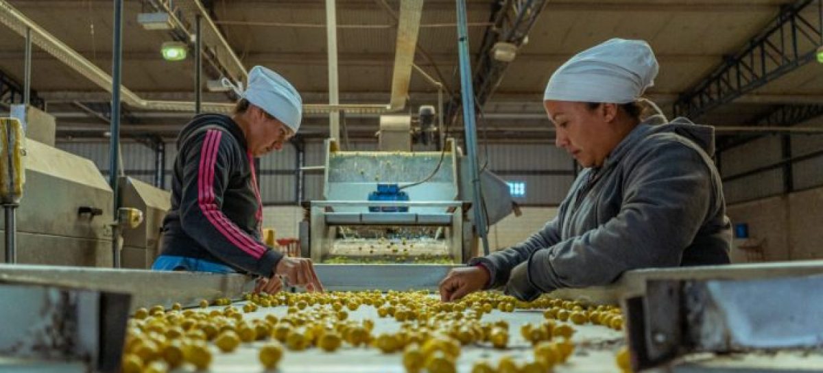 SE VENDIÓ EMPRESA ESTATAL RIOJANA: ES AGROARAUCO A 2,5 MILLONES DE DÓLARES