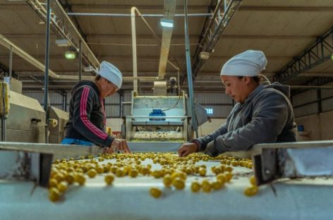 SE VENDIÓ EMPRESA ESTATAL RIOJANA: ES AGROARAUCO A 2,5 MILLONES DE DÓLARES